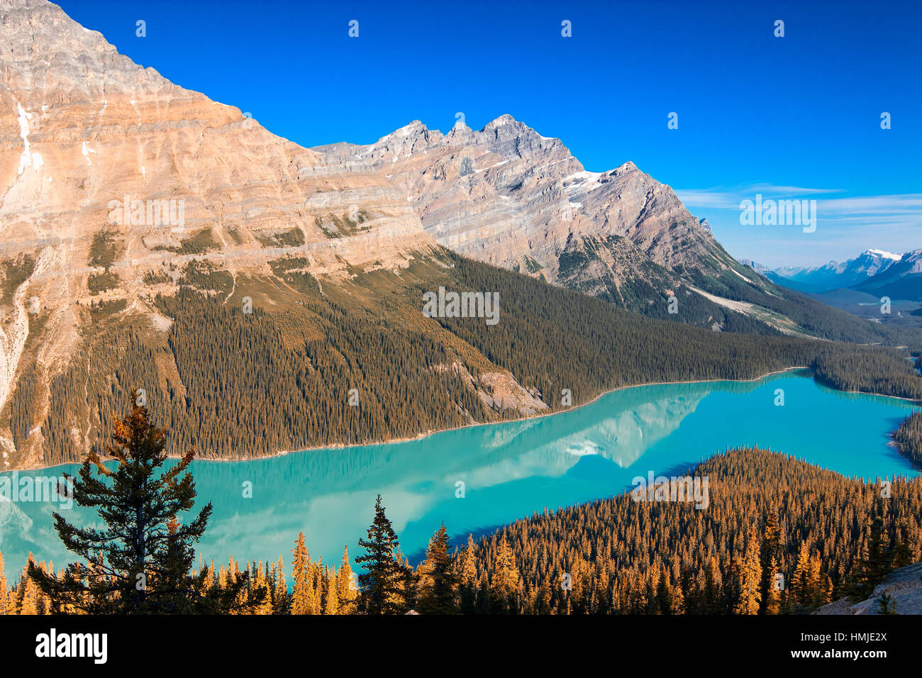 Peyto Lake in Banff National Park Stock Photo - Alamy