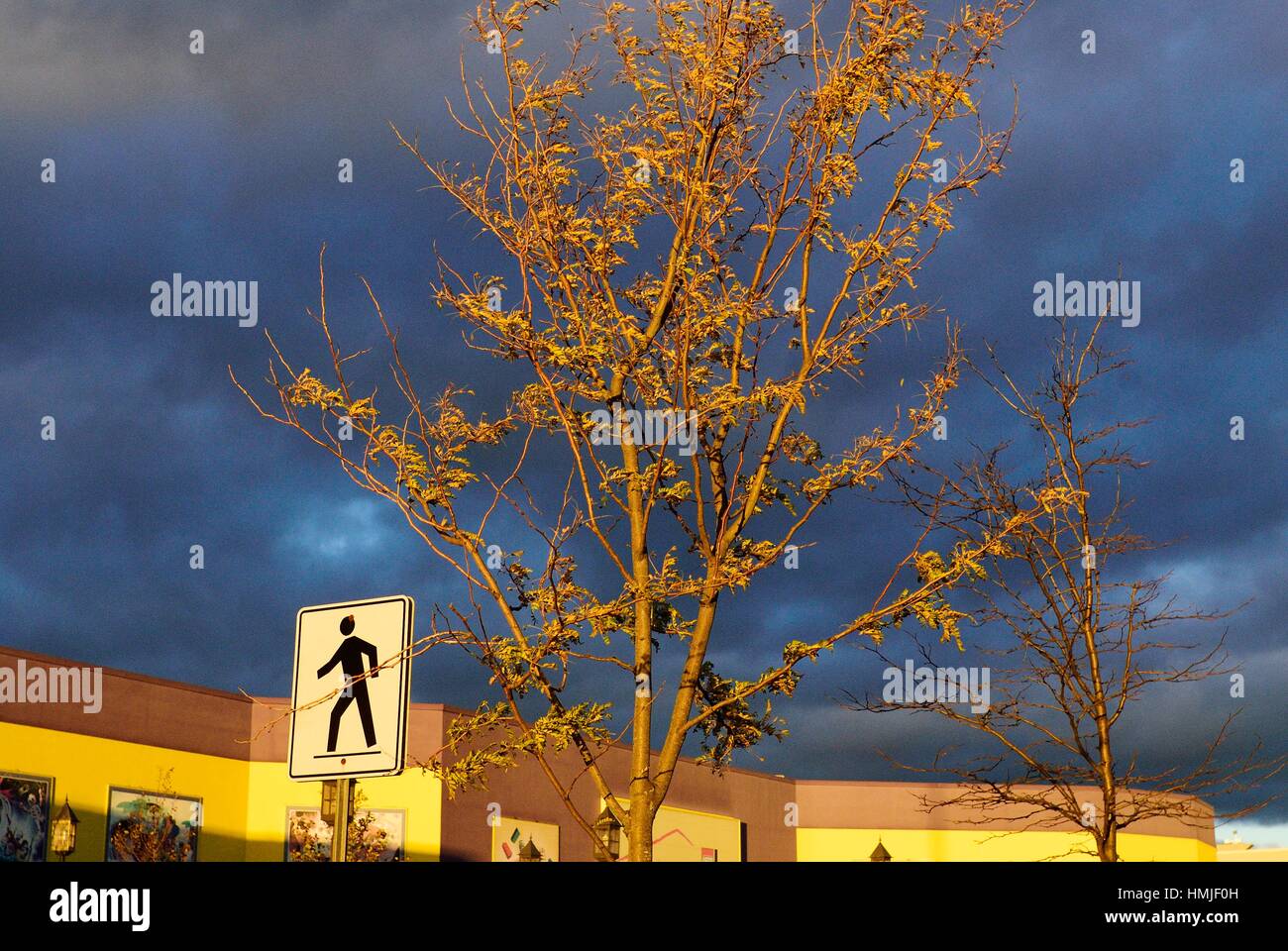 Tommy Hilfiger outlet store in Vaughan Mills Mall in Toronto, 2010