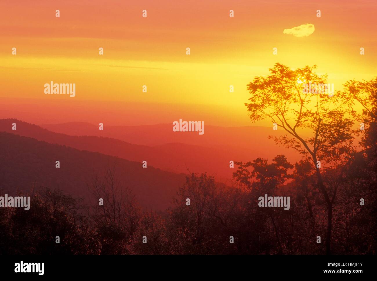 Dawn skies over Virginia mountain ranges, Shenandoah National Park, Virginia, USA. Stock Photo