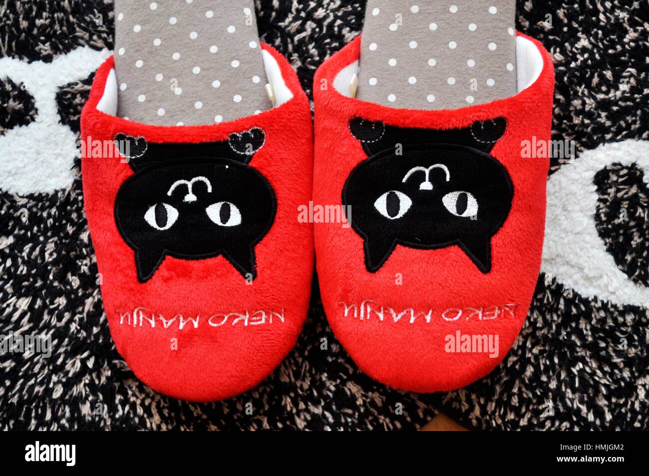 Catslippers in a cat café, Naha, Okinawa, Japan Stock Photo Alamy