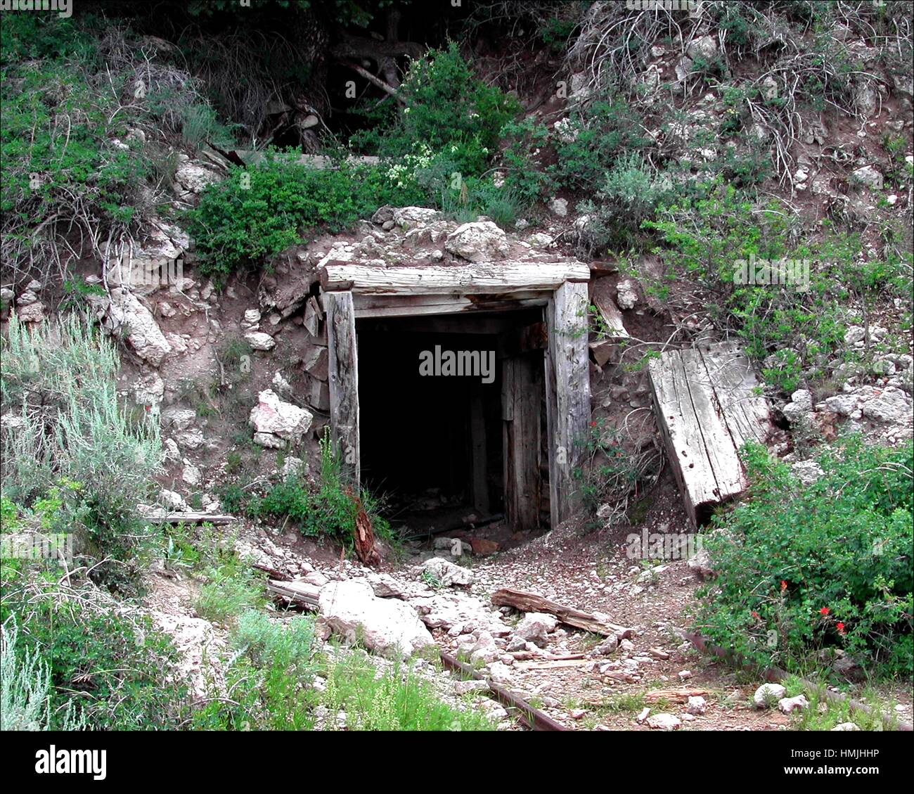Mining for gold in shaft mining hires stock photography and images Alamy