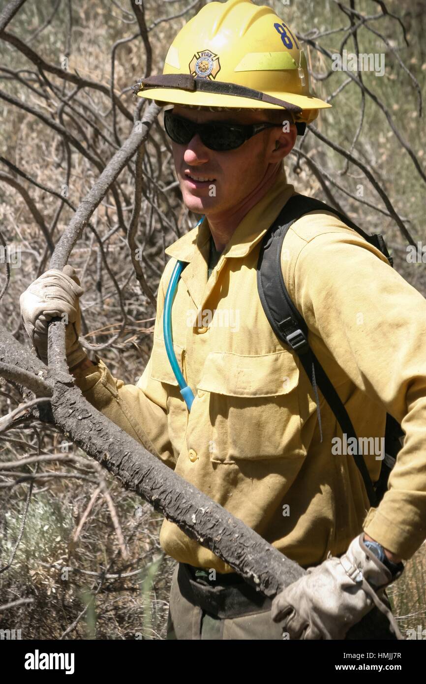 Fireman carrying a cut branch as he does fire prevention cleaning Stock
