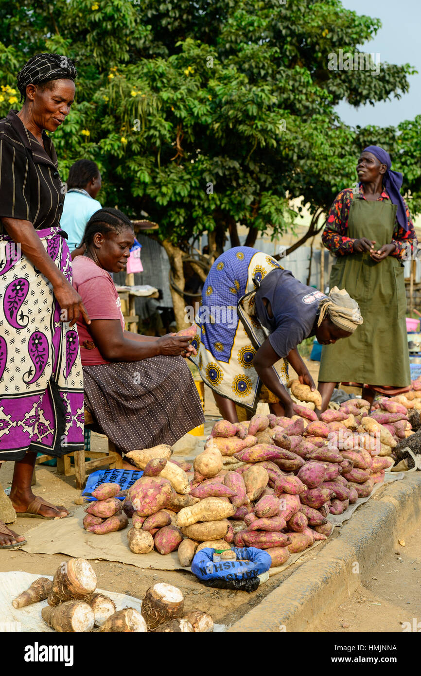 KENYA, County Kakamega, Bukura, women sell sweet potato at the road on market day / KENIA, Frauen verkaufen Suesskartoffeln auf dem Markt Stock Photo