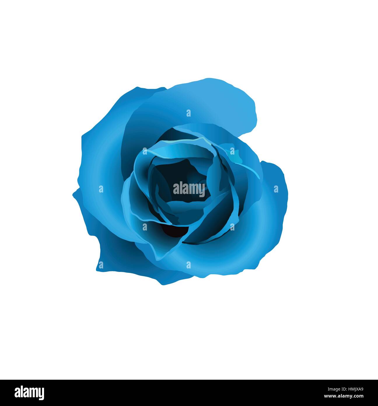 Abstract blue rose, isolated Stock Vector Image & Art Alamy