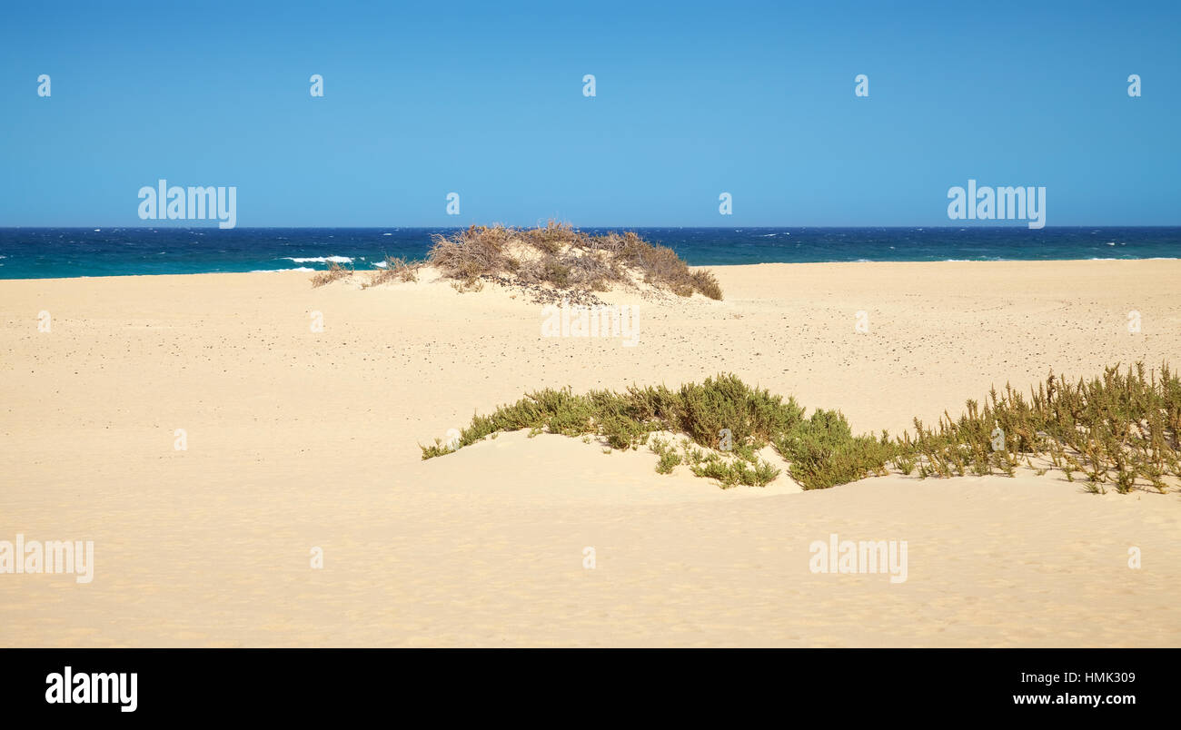 sand beach with blue sky Stock Photo - Alamy
