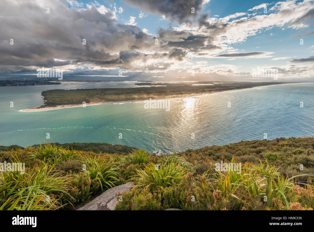 Matakana north island hires stock photography and images Alamy