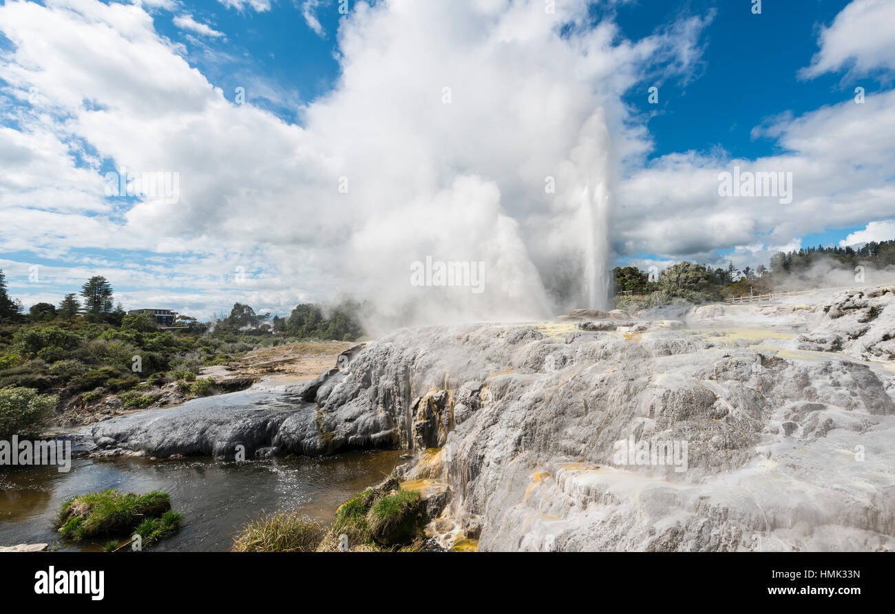 Water fountain and vapor, Pohutu Geyser and Prince of Wales Feathers Geyser, Te Puia, Whakarewarewa, Rotorua, New Zealand Stock Photo