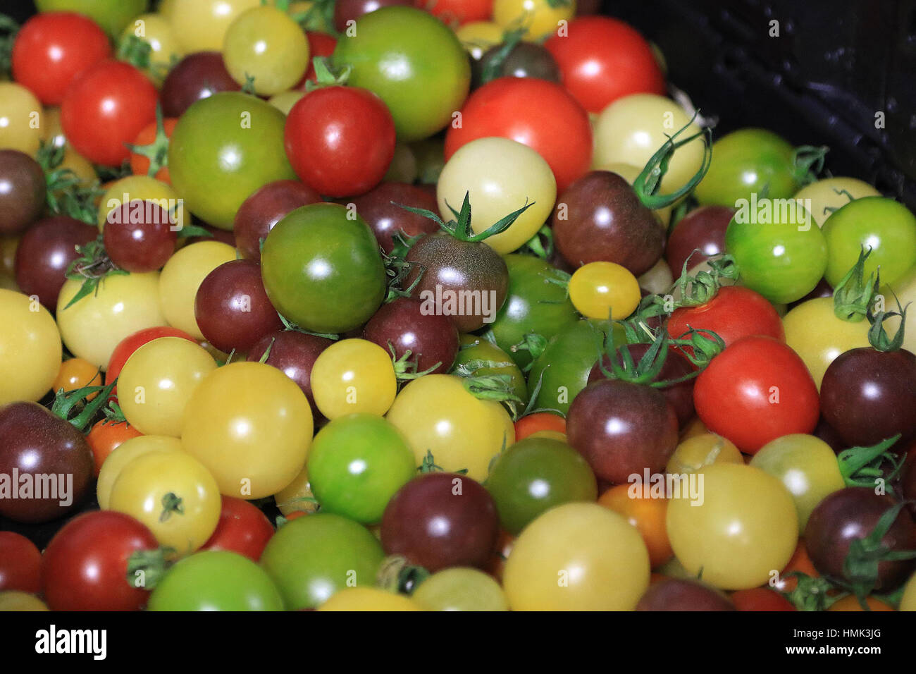 Heirloom cherry tomatoes Stock Photo - Alamy
