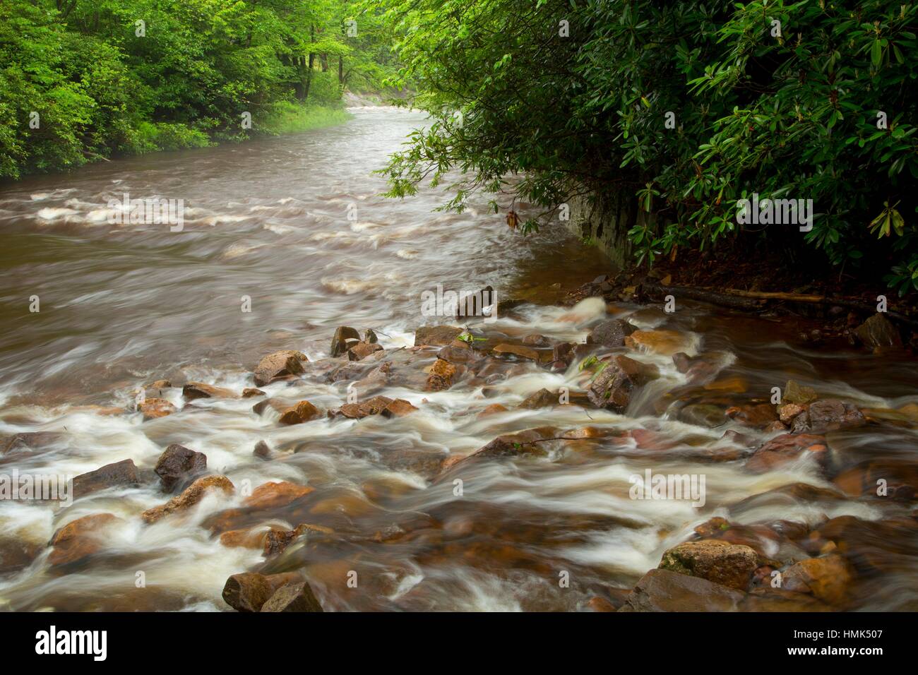 Confluence trail hires stock photography and images Alamy