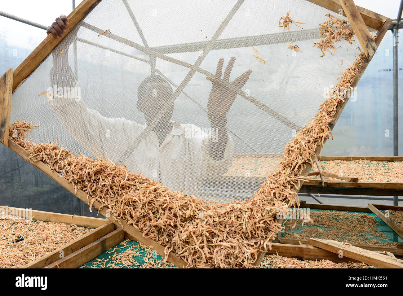 Potato chips processing hires stock photography and images Alamy
