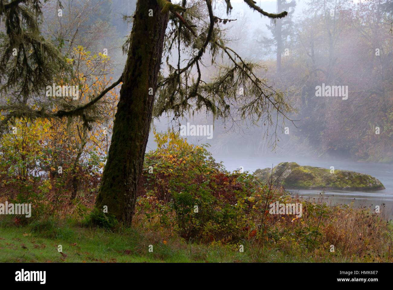 North Santiam River, North Santiam State Park, Oregon Stock Photo Alamy
