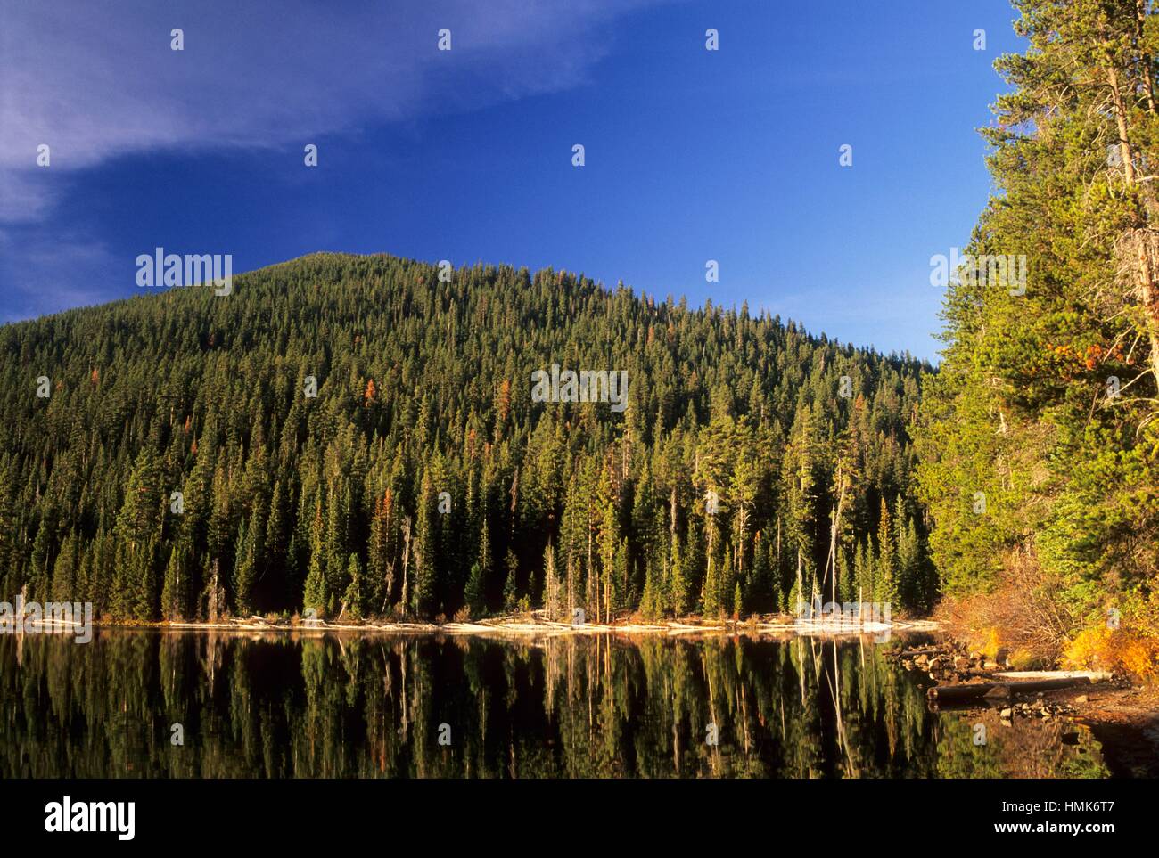 Little Cultus Lake, Cascade Lakes National Scenic Byway, Deschutes Stock Photo 133188167 Alamy