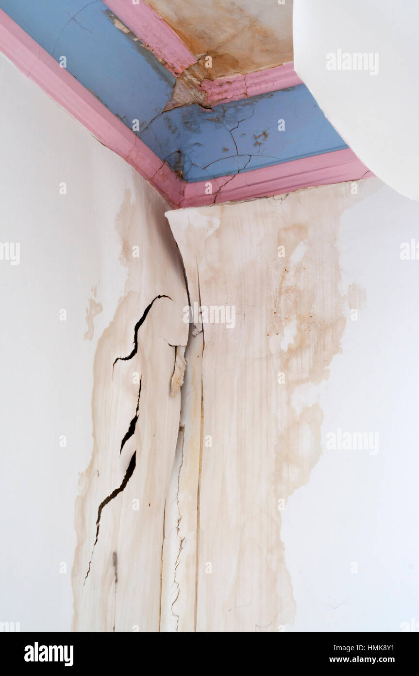 1 Of 5 Damage Caused To Ceiling Plaster Cornice