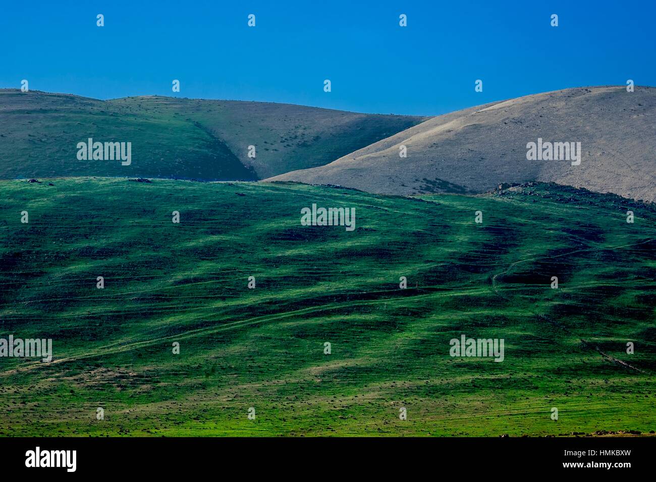 Farmland in rural California, USA Stock Photo Alamy