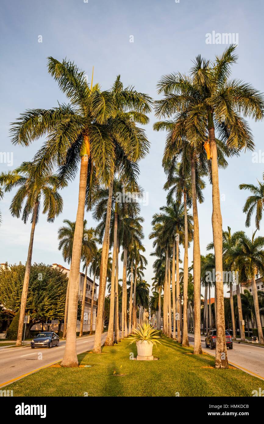 Royal Palm Beach in Palm Beach Stock Photo Alamy