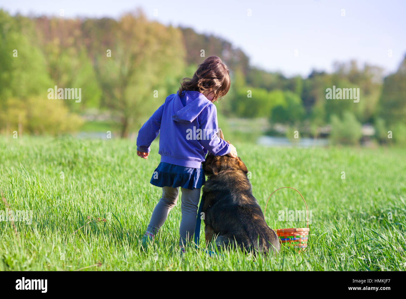 Happy little girl playing with dog on the field Stock Photo - Alamy
