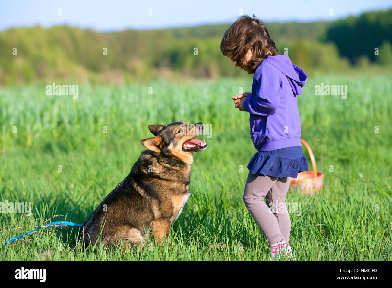 Happy little girl playing with dog on the field Stock Photo - Alamy