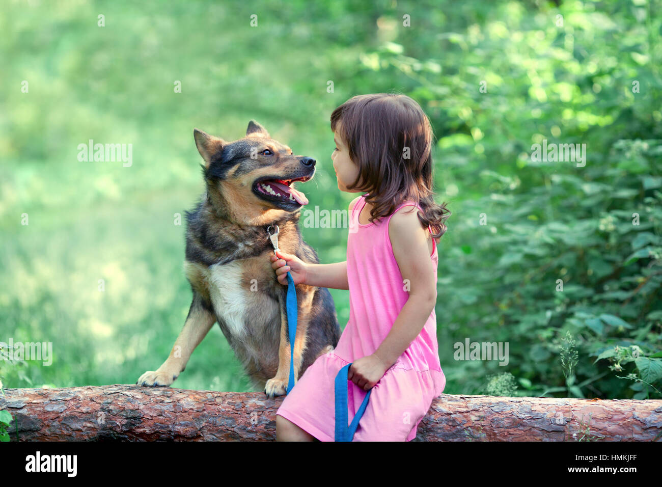 Happy little girl with dog sitting on the snag in the wood Stock Photo ...