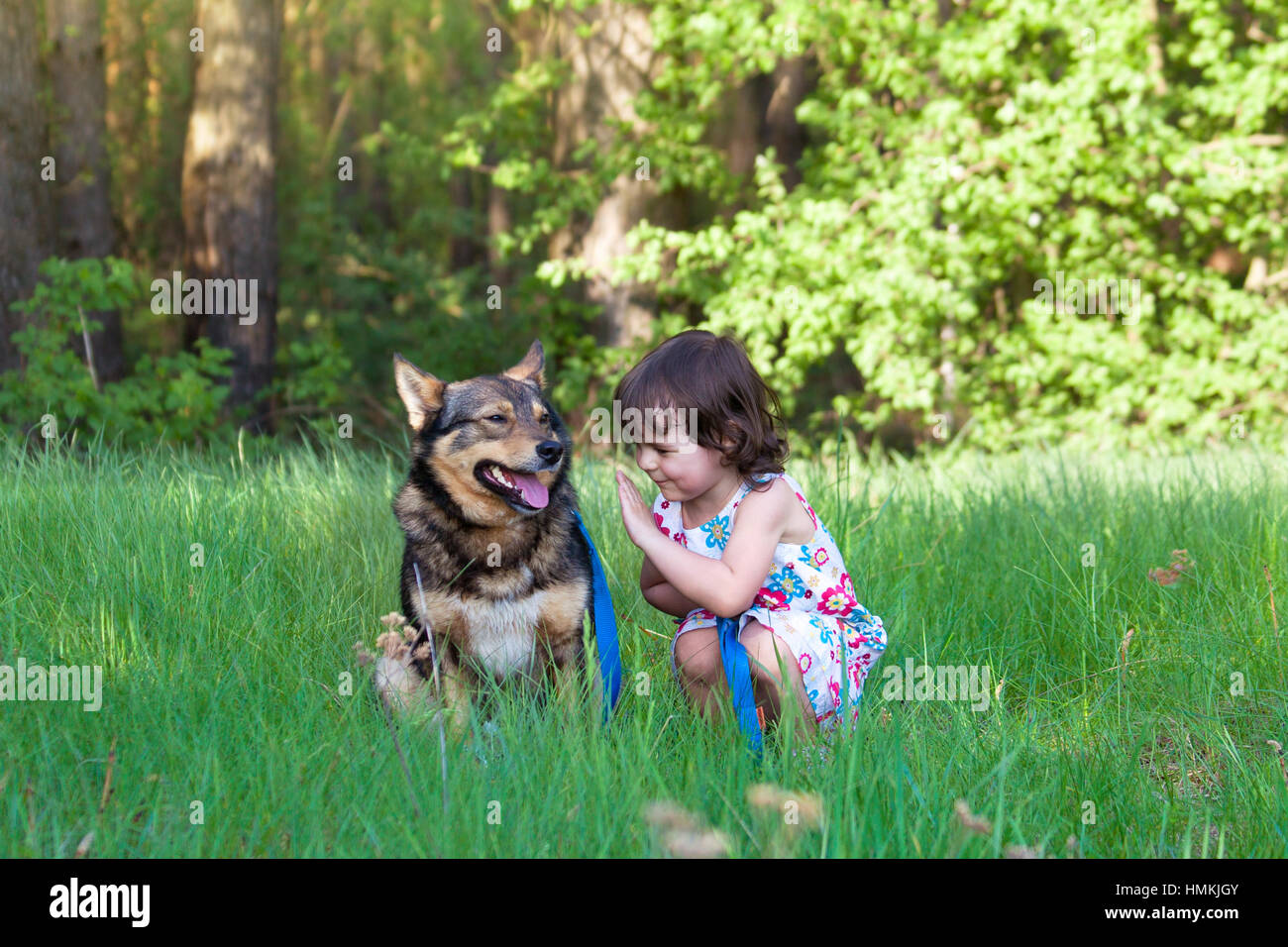 Happy little girl with dog sitting on the grass Stock Photo - Alamy
