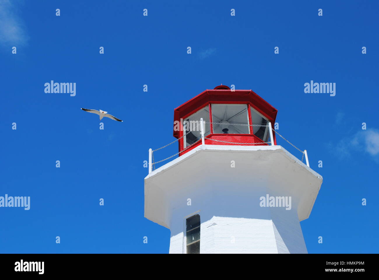A seagull glides above a lighthouse in Novascotia, Canada. Stock Photo