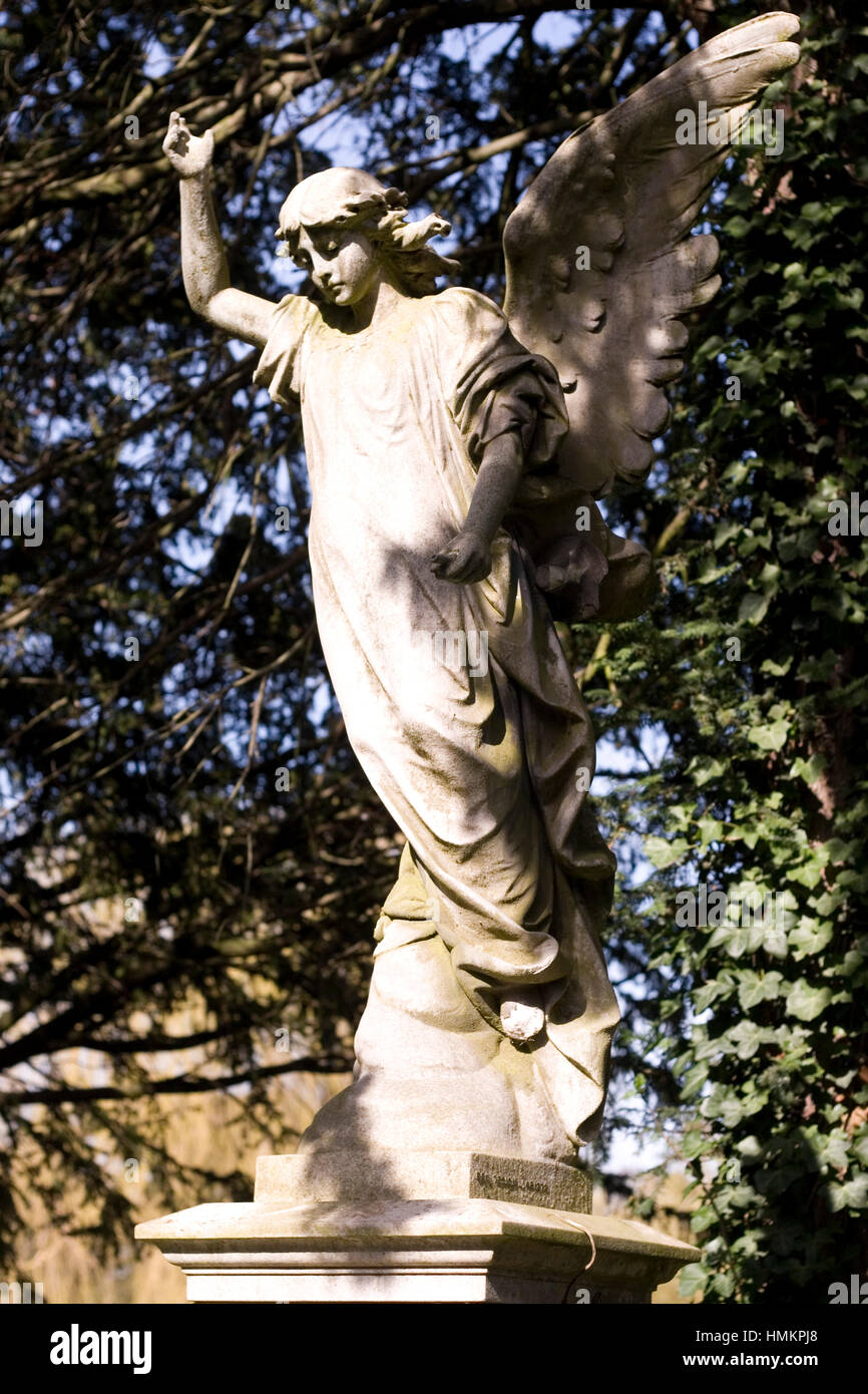 Angel on gravestone at Hampstead Cemetery, London Stock Photo Alamy