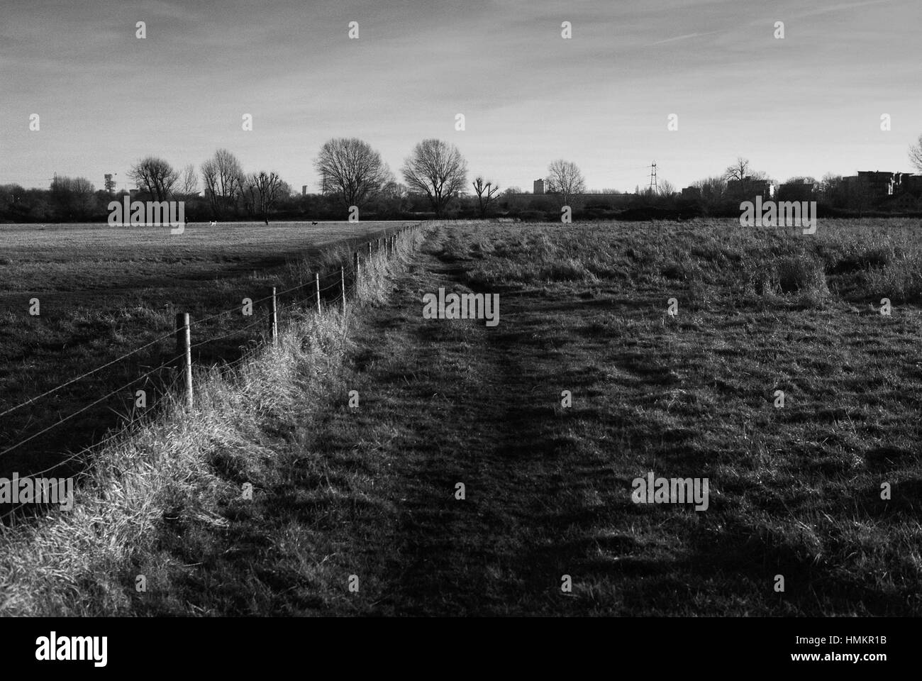 Walthamstow Marshes, North London Great Britain, looking south Stock Photo