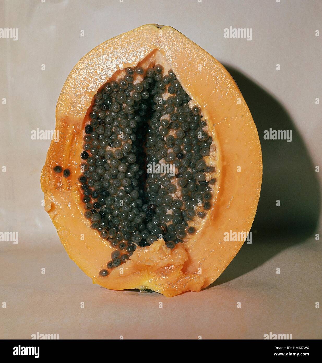 Cross-section of the fruit of the Papaya (Carica papaya), Caricaceae. Stock Photo