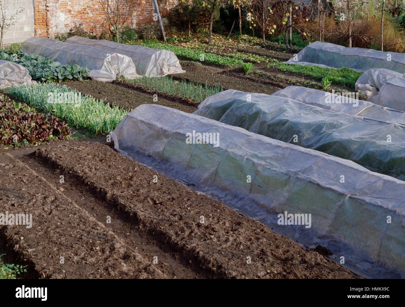 Plastic tunnels to protect crops Stock Photo Alamy