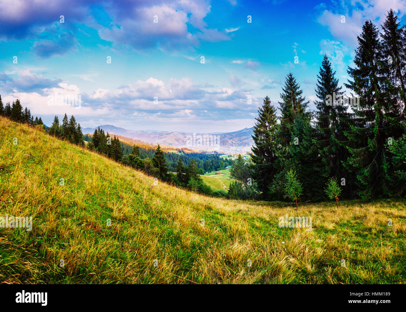 Colorful summer landscape Stock Photo - Alamy