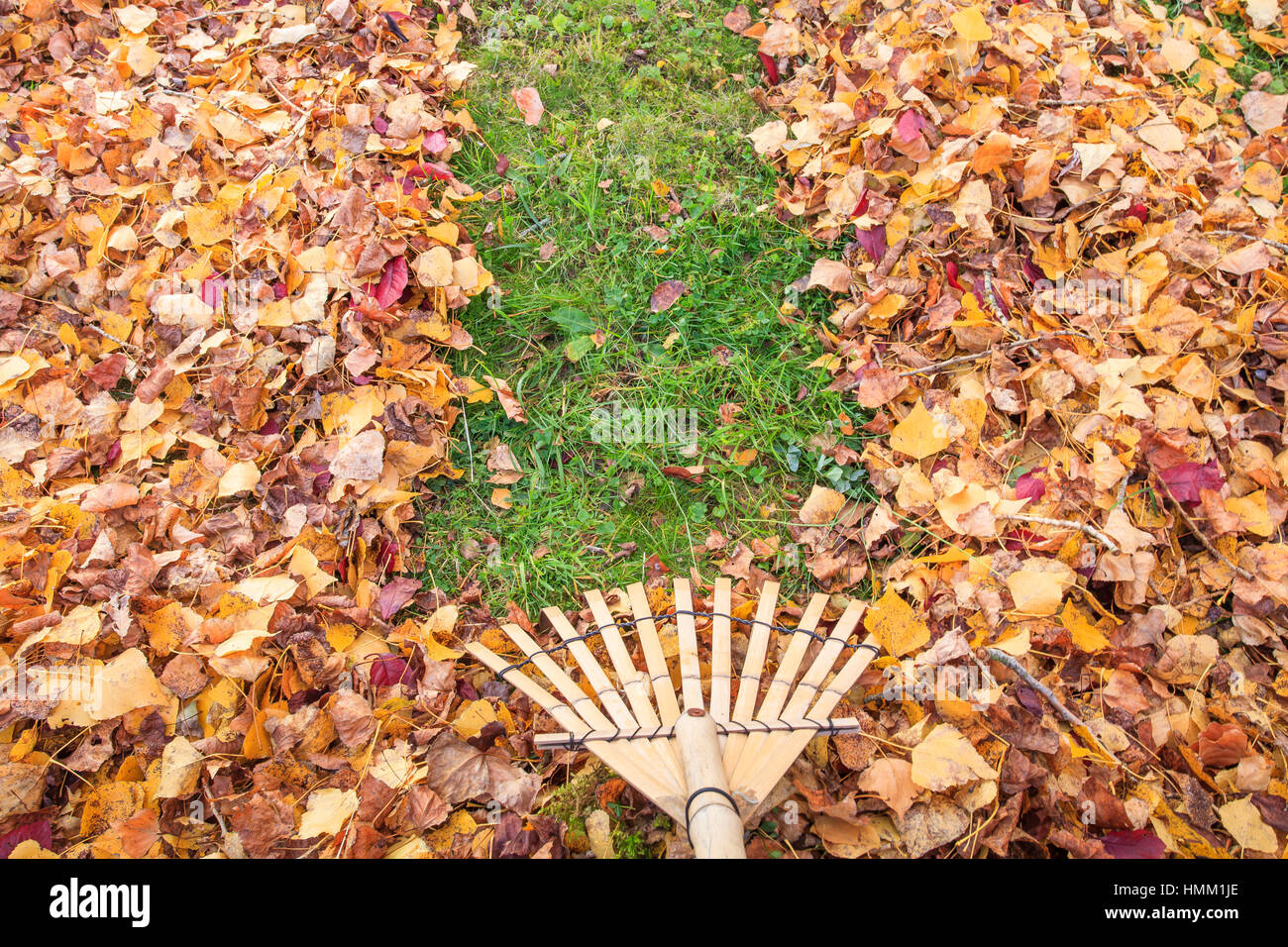 Bamboo rake hi-res stock photography and images - Alamy