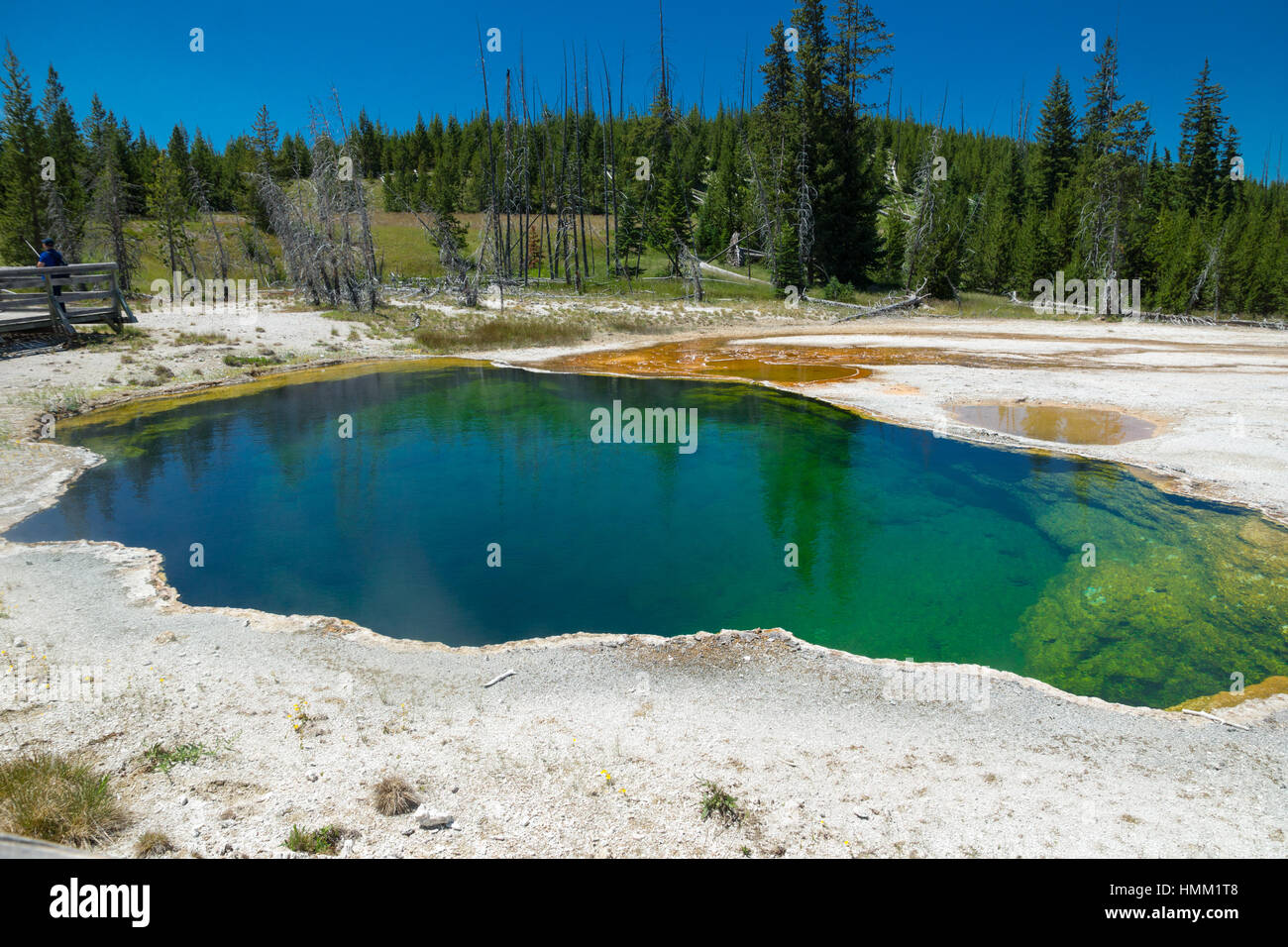 West Thumb Geyser Basin and Yellowstone Lake, Yellowstone National Park, Wyoming, USA Stock Photo