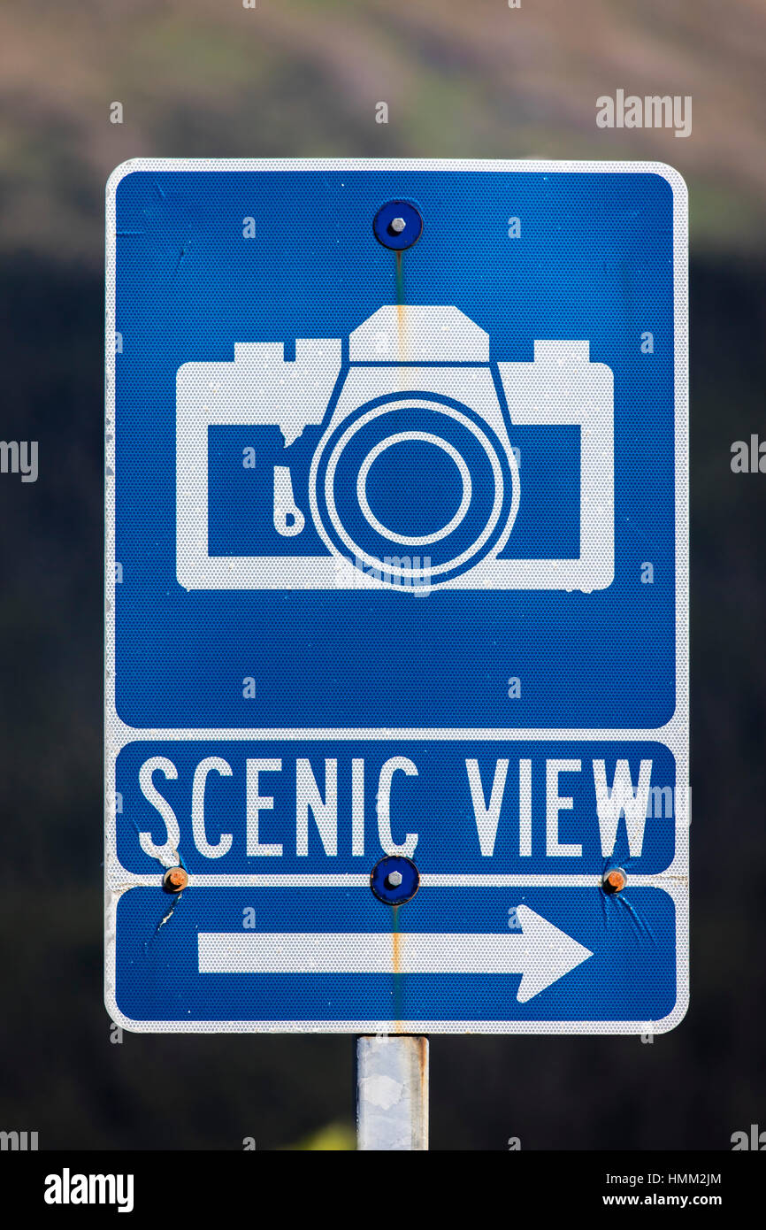 Pointing At Spot High Resolution Stock Photography and Images - Alamy