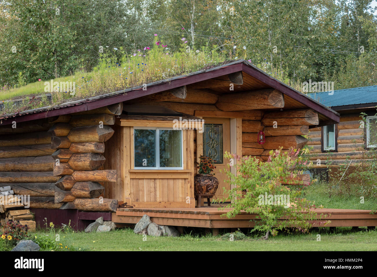 August 25 2016 A Sod Roof Log Cabin Nenana Alaska South Of