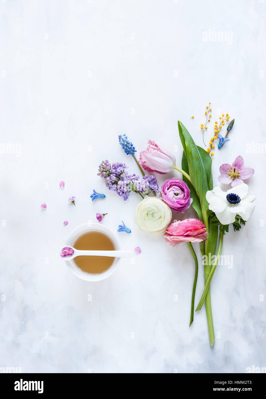 Flat lay of spring flowers arranged around a teacup on a painted white and grey backdrop styled, photographed in natural light Stock Photo