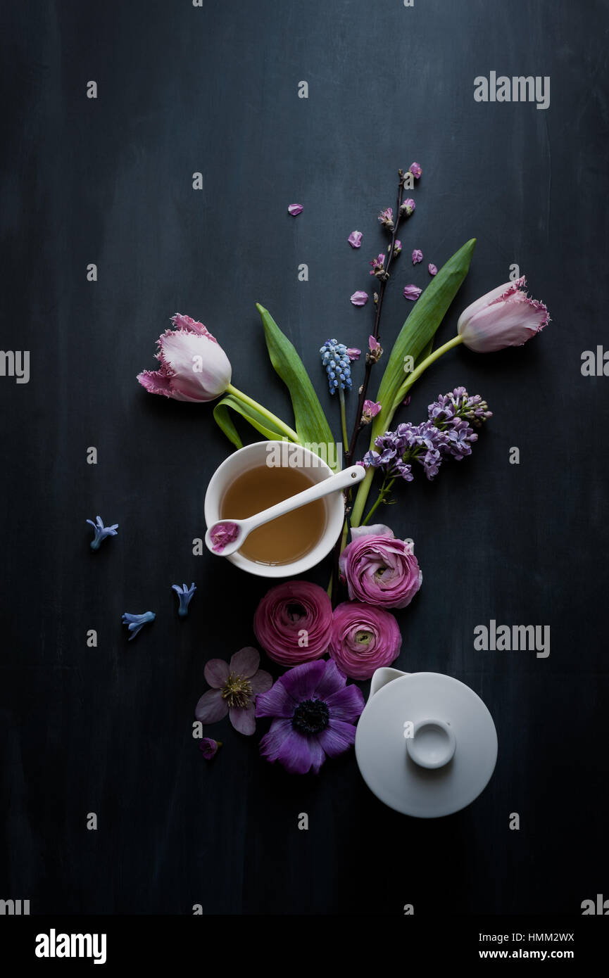 styled still life of pink parrot frilled tulip cherry blossom anemones muscari ranunculus arranged on a dark painted backdrop Stock Photo