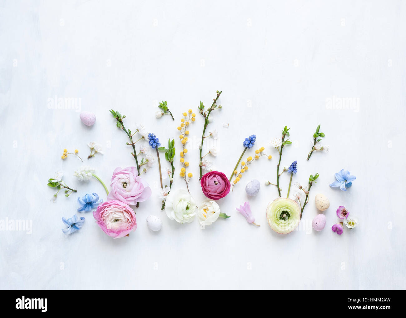 Flat lay still life of spring fresh flowers and mini eggs arranged in a row on painted white and grey backdrop natural light Stock Photo