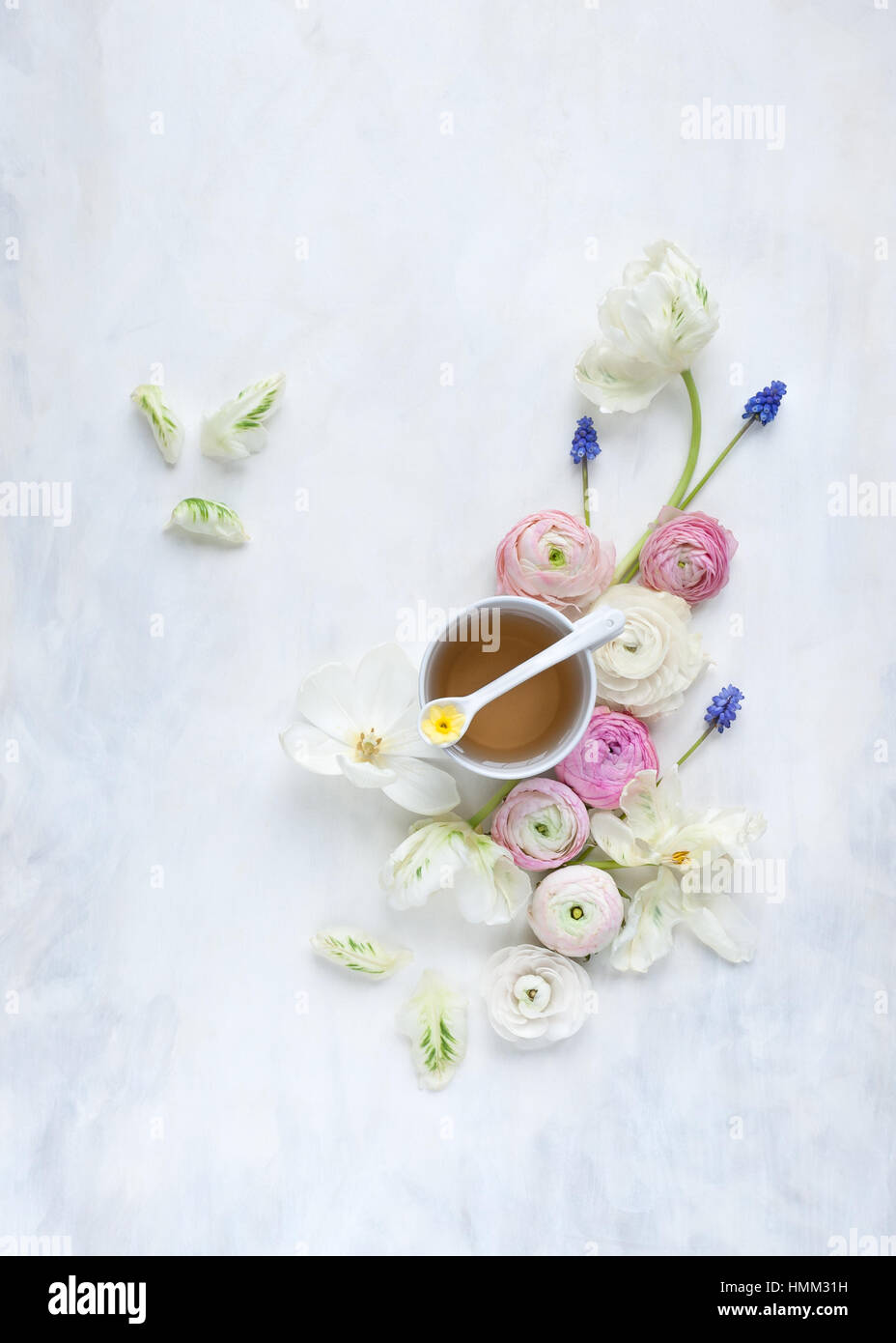 Flat lay of spring flowers arranged around a teacup on a painted white and grey backdrop styled, photographed in natural light Stock Photo