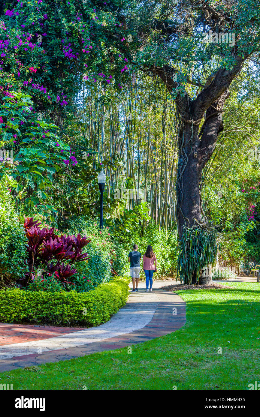 Sunken Gardens 100 year old botanical gardens in St Petersburg Florida