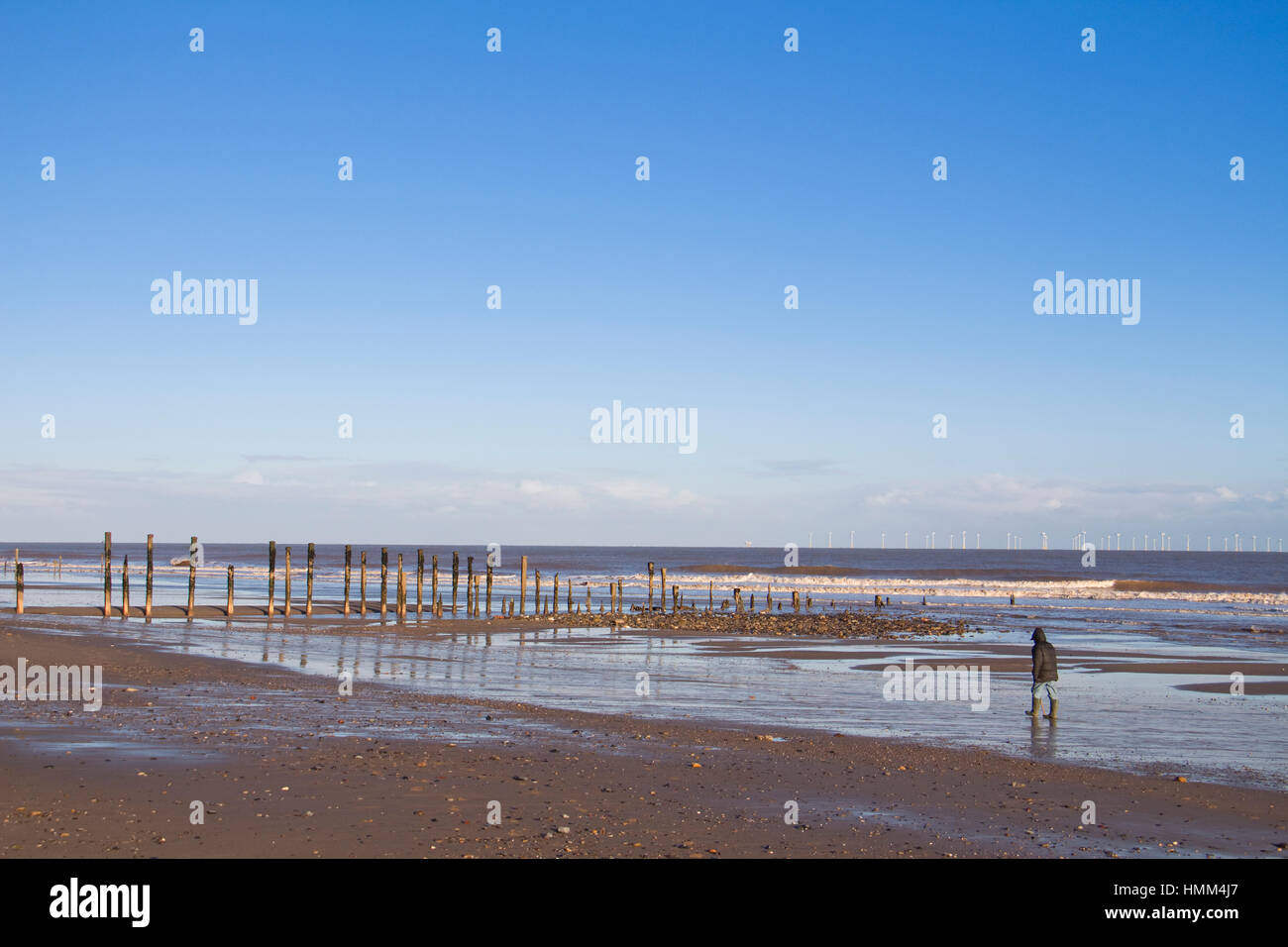 Man walking on the beach at Spurn Point, East Yorkshire, UK Stock Photo