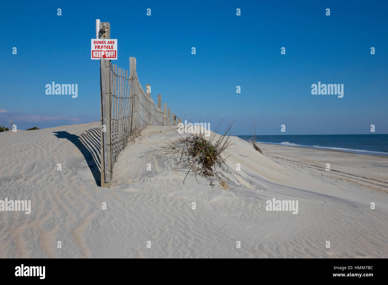 USA Maryland MD Assateague Island National Seashore Protected sand dunes Stock Photo