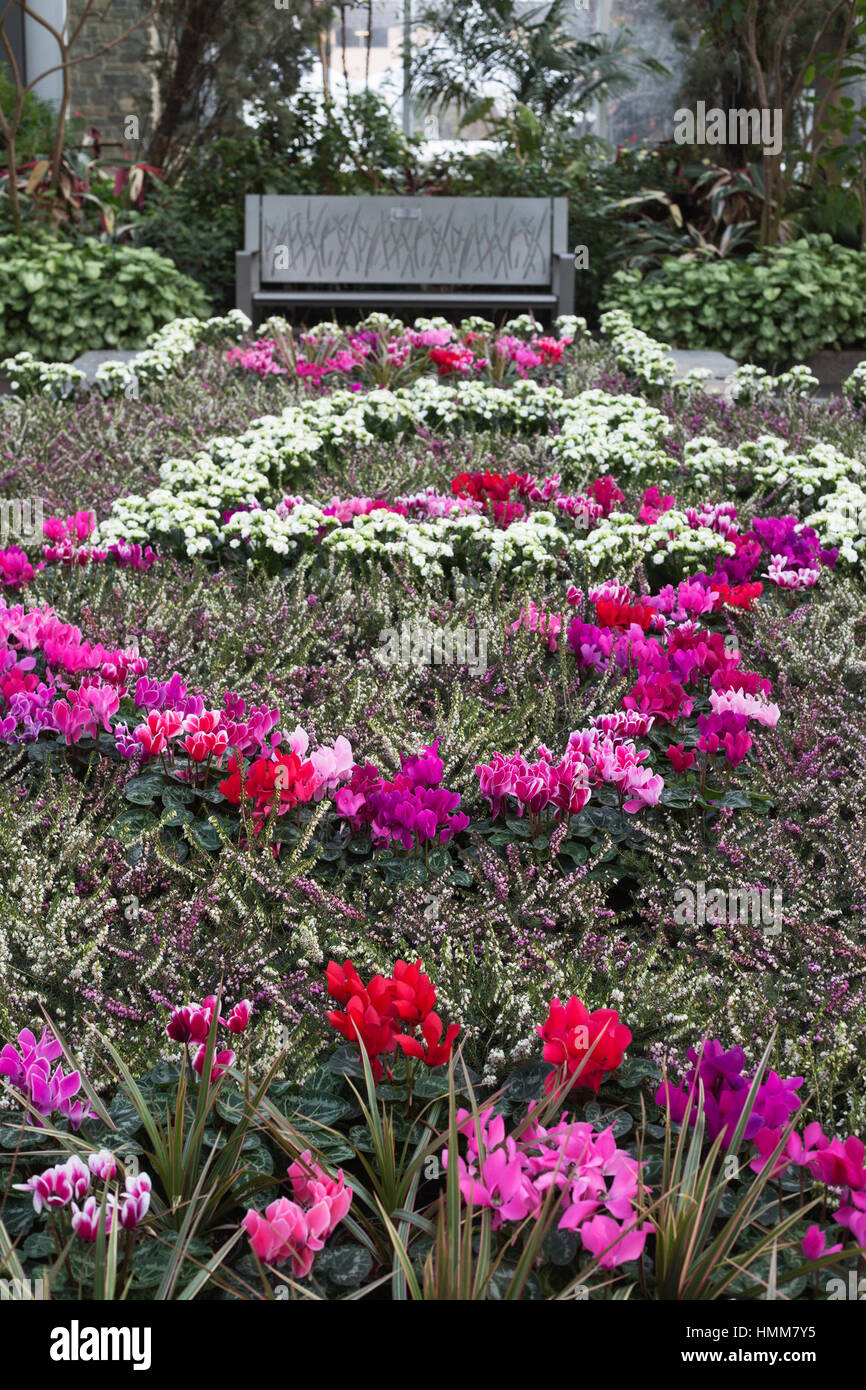 Indoor garden calgary zoo hires stock photography and images Alamy