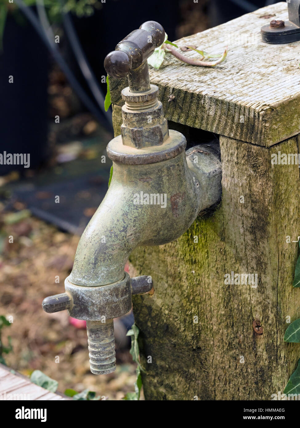 Outdoor garden water tap Stock Photo
