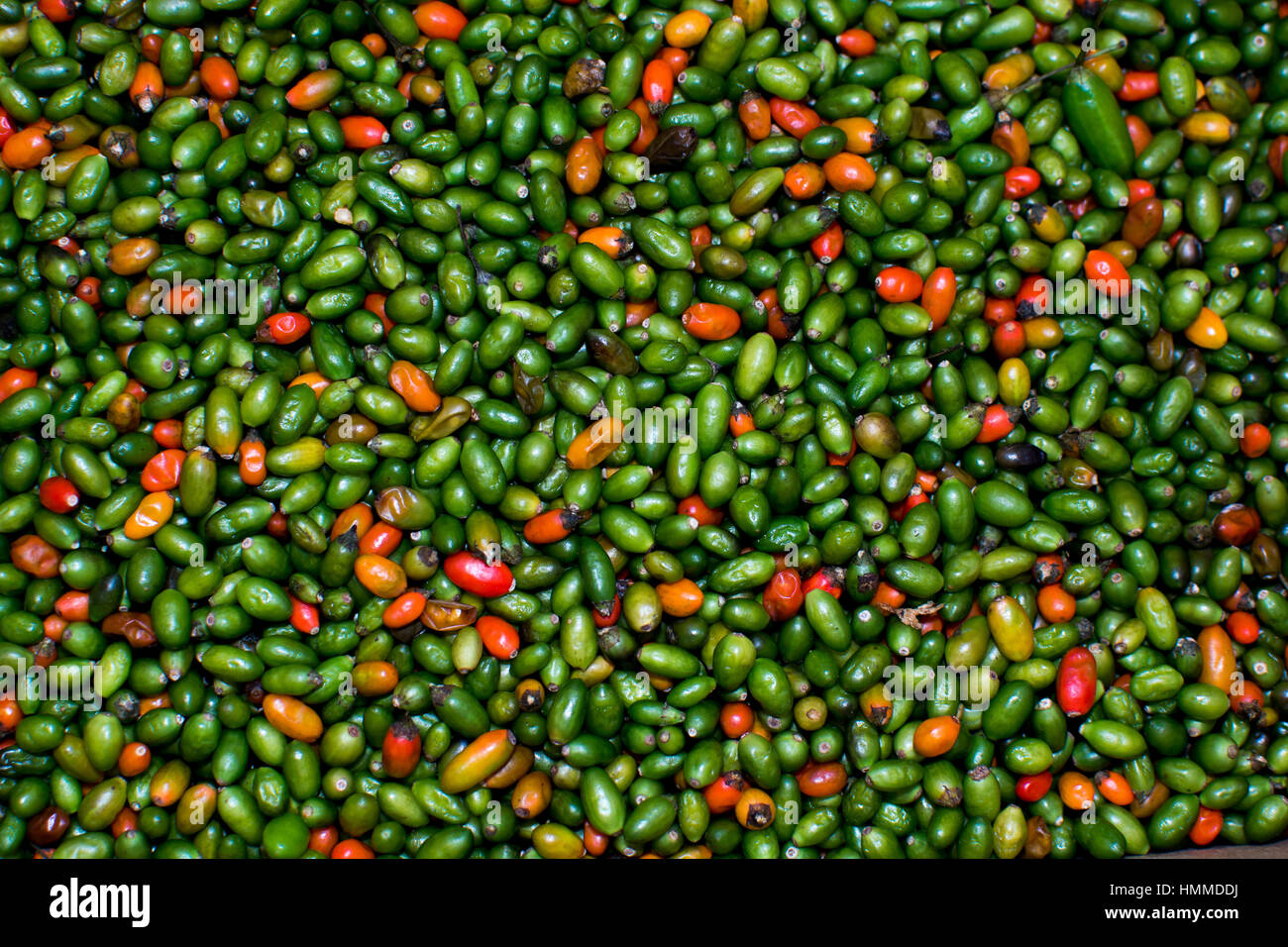 Red and green peppers on a market Stock Photo - Alamy