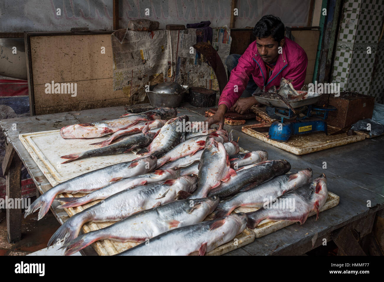 Fishmonger in old Delhi Stock Photo