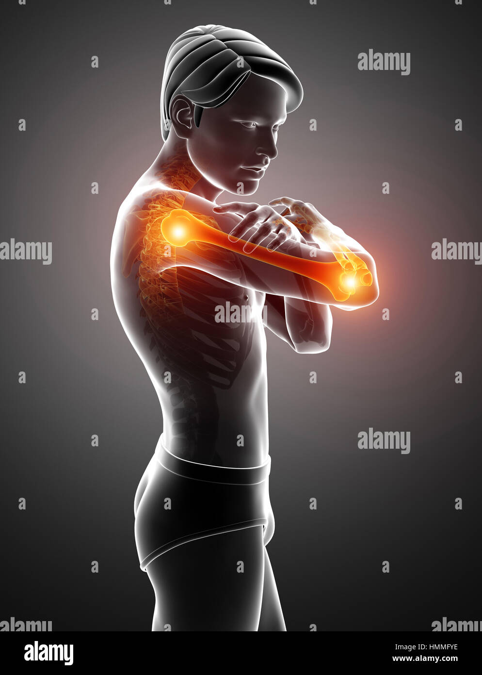 human body anatomy with joint pain Stock Photo Alamy