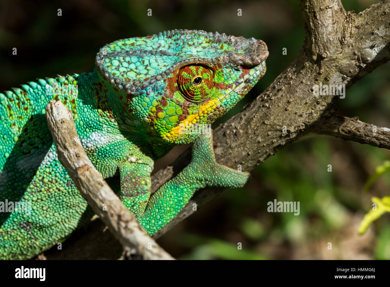 Madagascar, Nosy Be (Big Island) off the northwest coast of mainland ...