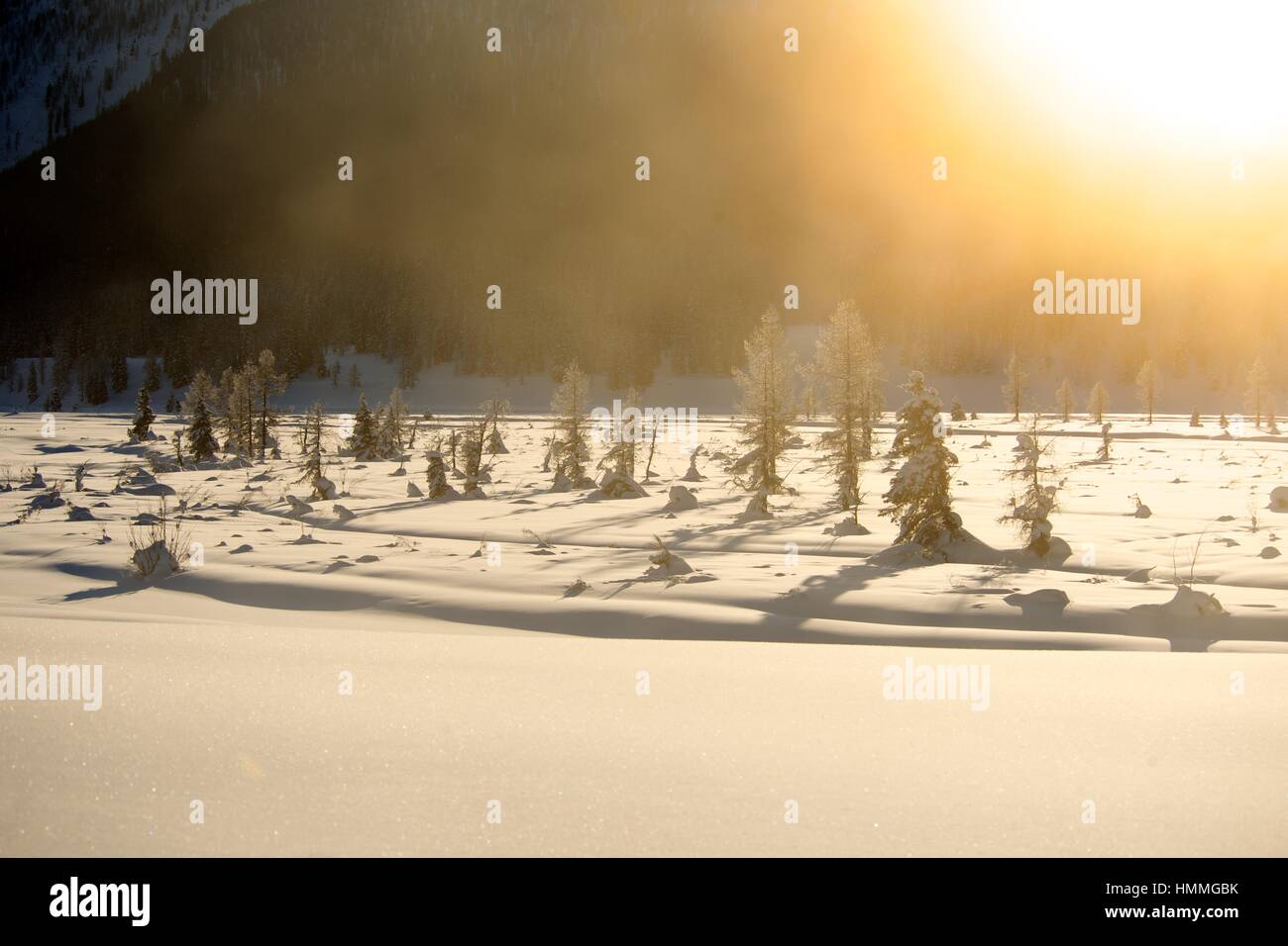 Beautiful winter landscape with snow covered trees on sunset background ...