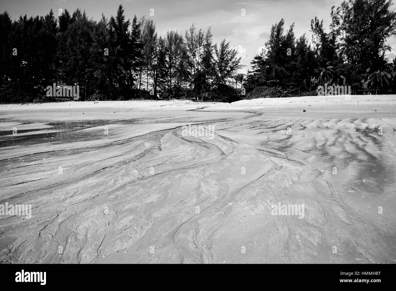 Black and white beach Stock Photo