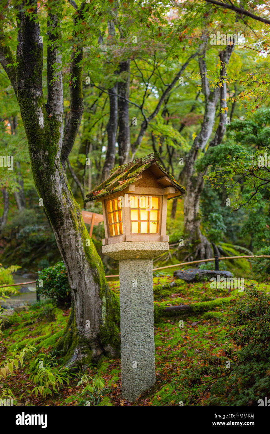 Japanese style garden with stone lantern in autumn season, wet moss rain  forest garden in Japan Stock Photo - Alamy, image size:866x1390