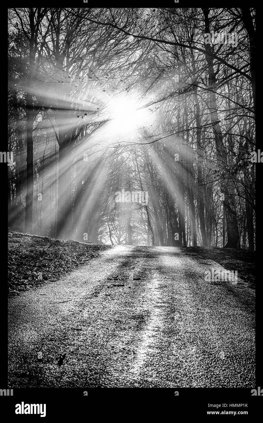 Beautiful sunrise colours Black and White Stock Photos & Images Alamy
